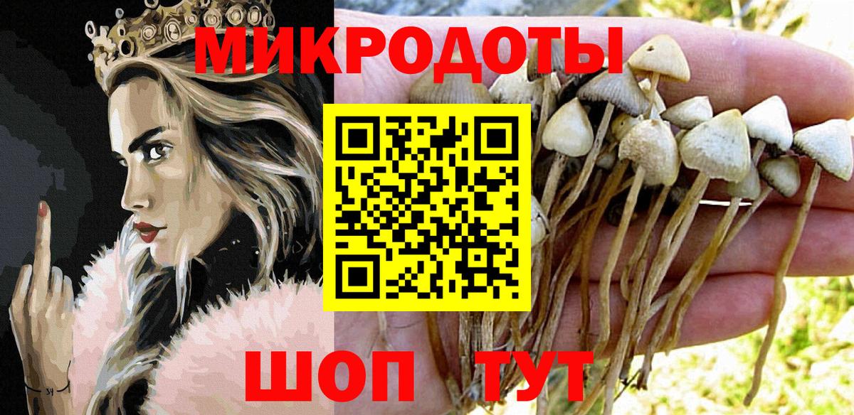 Зеленодольск  Галлюциногенные грибы мухоморы  Вход с VPN  Псилоцибиновые грибы Cubensis 
